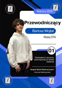 Read more about the article Wybory samorządowe